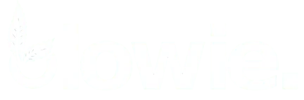 Blowie Logo